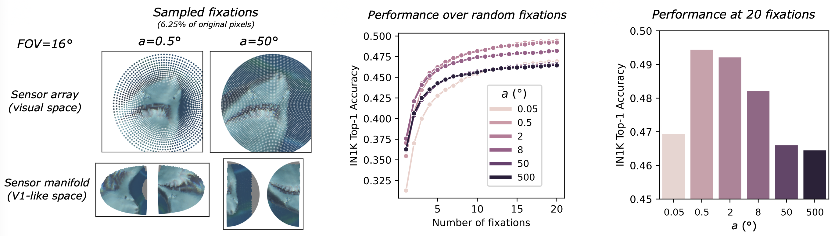 FOVI-CNN results showing sampled fixations and ImageNet accuracy as a function of fixation count and foveation strength.